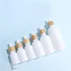 Porcelaine blanche E Liquid Reacent Pipette Points à compte