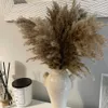 Dried Flowers Pampas Grass Bouquet Fluffy Dried Flowers for Living Room Boho Mariage Flower Vase Arrangement Wedding Arch Decoration R230720