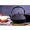 Gietijzeren theepot Theepot Japanse stijl waterkoker met zeef Fower Tea Puer Coffee jar 300ml 2022291b