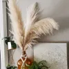 Gedroogde Bloemen 80cm Grote Pampas Gras Een Bos Boheemse Gedroogde Bloemen Voor Bruiloft Huisdecoratie Bruiloft Boog Decor Boeket R230720