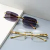 Vintage Randlose Quadratische Sonnenbrille Frauen Männer Luxus Marke Designer Beliebte Reise Fahren Metall Leopard Kopf Sonnenbrille UV400