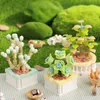 Blokken 9 stijl Bouwstenen Bloemen Pot Eeuwige Boeket Bakstenen Micro 3D Plant Model DIY Simulatie Succulent Ornamenten voor Kinderen Geschenken R230720