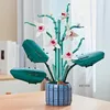 Blöcke Orchidee Ewige Blumen Bonsai Bausteine Phalaenopsis Blumensträuße Pflanzen Topf Ornamente Ziegel Spielzeug Für Kinder Mädchen Geschenke R230720