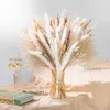 Torkade blommor 80st Natural Dried Flowers Pampas Grass Bouquet Boho Home Decor Fluffy Reed Limonium For Wedding Floral Arrangements Decoration R230720