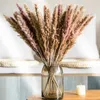 Fiori secchi 30 PZ Erba di pampa bianca Fiori secchi naturali Soffici fai da te Boho Pianta Flores Artificiales Wedding Room Decorazione domestica R230720