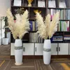 Dried Flowers 80cm Natural Reed Dried Flower White Brow Big Pampas Grass Bouquet Wedding Flower Ceremony Decoration Modern Home Decoration R230720