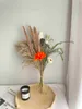 Gedroogde Bloemen Natuurlijke Gedroogde Lotus Bloemen Boerderij Boeket Gedroogde Pampas Gras Decor Bruiloft Bloemen Voor Feest Thuis Kamer Tafel Decoratie R230720