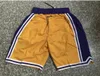 Najlepsza jakość mężczyzn drużyna koszykówka Wader Hardaway Basketball Shorts