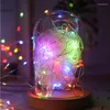 Strings Party Slaapkamer Patio Decor Battery Operated Firefly Starry Moon Lights 6 stks Kerst String Light LED Fairy Lamp Voor DIY Bruiloft