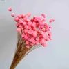 Getrocknete Blumen, natürliche Trockenblumen, brasilianisches kleines Sterngänseblümchen, dekorative getrocknete Blumen, Mini-Gänseblümchen-Blumenstrauß für Hochzeit, Blumenarrangement R230725