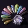 Paznokcie Glitter 12pcs holograficzne proszek 005 mm cekiny pigmenty Pigments Art Flakes Dekoracja Pigment DIY 230801