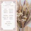 Fiori secchi Erba di pampa naturale Gypsophila Bouquet Fiori secchi Boho Decor | Decorazioni per la casa per matrimoni Decorazioni per camere in stile moderno in stile rustico R230720