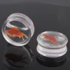 Clear Goldfish ear plug tunnels Water tunnel Stretcher Fish flesh tunnel 8-18mm body jewelry piercing ear stretcher plugs203H