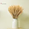 Fiori decorativi 50/100PCS Natural Real Wheat Ears Steals Disposizione Wedding Home Decoration Ins Style Bouquet fai da te Pography Puntelli