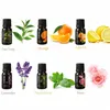 10 ml förening Essential Massage Oil Rose Fuidifier Diffuser Candle Making Air Freshener DIY Parfym