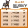 Coleiras para cães Coleira de cachorro dourada resistente em aço inoxidável Corrente cubana de 14 mm de largura Colar de metal para animais de estimação adequado para produtos de coleira de cachorro de pequeno, médio e grande porte 230719