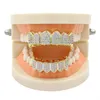 Зубы grillz роскошные мужчины женщины оценивают качественные кубические цирконии вампиры Braces Braces Street Fashion Platinum 18k Gold Hip Hop Dental Gr261r