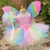 Mädchen Pastell Schmetterling Fee Kleid Kinder Blumen Tutu Kleider mit Flügel und Stab Haarschleife Outfit Kinder Geburtstag Party Kostüme