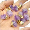 Charms Gold Sier Ered Amethyst Pendant Natural Gem Stone Quartz Crystal Mineral Irregar For Diy Jewelry Making Necklace Drop Dhgarden Dhmbd