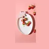 Borden Zorgvuldig vervaardigde opberglade die kwaliteit naar een niveau brengt Gedroogd fruitbord Aardbei Heldere kleuren