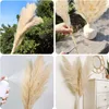 Gedroogde Bloemen 80 cm Grote Pampas Gras Een bos Boheemse Gedroogde Bloemen Voor Bruiloft Woondecoratie R230720