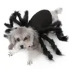 Pet Super Funny Clothing Dress Up Accessori Halloween Costume per cani di piccola taglia Cat Cosplay Spider296H
