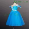 Stage Wear Lake Blue Green robe romantique femmes Giselle Cendrillon longue personnalisée Flower Festival Rose Romantique Paysan Tutu Dress fo260V