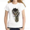 T-shirt da donna a maniche corte T-shirt a maniche corte da donna con stampa di gatti in carta antigraffio da donna