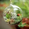 Vases 8 cm Creative Hanging Glass Vase Succulent Air Plant Display Multi - meat hanging bottle wedding decoration supplies Z230720