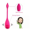 Draadloze APP Afstandsbediening Dildo Vibrator voor Vrouw Wearable Slipje voor Koppels Vibrerende Vaginale Bal Producten Q0602268j