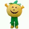 2019 Factory Factory Hełm Pumpkin King Mascot Costume Crayon Cartoon Apparel Party Birthday Masquerade2868