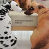 豪華な枕クッション3Dかわいいベンド犬プリントスロースローリアルアニマル面白い犬の頭のコスプレコスプレ子供お気に入りのおもちゃクッション洗えるホーム230720