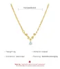 Mignon Iced Out Cubique Zircone Laurus Collier Micro Ensemble Zircon Feuille Femme Mode Goutte D'eau Collier Or Couleur Esthétique Pendentif Chaîne Bijoux Pour Femmes En Gros