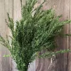 Fleurs séchées Réel Séché Naturel Conservé Melaleuca Bouquet De Fleurs Décoration De Noël Herbe Sèche Arrangements Floraux Pour Mariage Maison DIY R230720