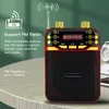 Other Electronics High Quality Wireless Ser FM Radio with Microphone TF Card Digital Voice Amplifier MP3 Player 230719