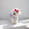 Hondenkleding Zomerjurk Blauwe rok Huisdierkleding Chihuahua Teddy Puppy Kat Prinses Schattig aankleden
