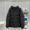 Heren Down Parka's Jassen designer heren winter puffer jassen dames donsjas hooded fashion parka's windjack warme top rits dik Z230721