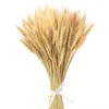 Fiori decorativi 50/100PCS Natural Real Wheat Ears Steals Disposizione Wedding Home Decoration Ins Style Bouquet fai da te Pography Puntelli