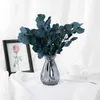 Gedroogde Bloemen 30g Natuurlijke Planten Geconserveerde Eucalyptus Bladeren Boeket Eeuwige Gedroogde Bloem Appel Bruiloft Woondecoratie Fotografie Porps R230720