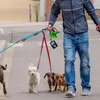 Hund Träger Kotbeutel Halter Tragbare Haustier Haustiere Liefert Leinwand Müll Taschen Poop Dispenser Outdoor Welpen Katze Pick Up Organizer