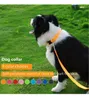 Dog Collars Pet Luminous Collar Usb Rechargeable Led Night Anti-loss Flash