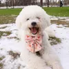 犬の首輪ペット製品メタルバックルウォーキングセットバレンタインデイポリエステル猫カラー