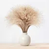 Flores secas 60 pçs naturais pampas grama fofa seca pequenos juncos buquê de flores boho decoração de sala de estar festa de casamento ramos de grama decoração r230720