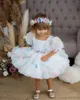 La ragazza veste le ragazze variopinte del fiore della farfalla per i matrimoni Abiti bianchi del partito del vestito di tulle dei bambini di compleanno