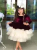 Girl Dresses Velvet Puffy Flower Long Sleeves Illusion Back Wedding Party Bow Birthday Gowns Winter