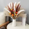 Fleurs séchées Daisy Pampa Herbe Décoration Arrangement De Mariage Matériaux Naturel Phragmites Fleurs Séchées Bouquet Boho Home Room Decor R230720