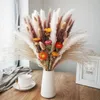 Fleurs séchées Daisy Pampa Herbe Décoration Arrangement De Mariage Matériaux Naturel Phragmites Fleurs Séchées Bouquet Boho Home Room Decor R230720