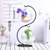 Akvarier Goldfish Ball Hanging Aquarium Fish Tank Bowl Ecosphere Flower Plant Vase Table For Small Pet Supplies Accessories2131