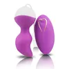 Mengli Women's Kegel Vaginal Wireless Jumping Smart Ball Device