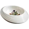 Тарелки красивые нерегулярные творческие тепло сохранение наклонное рту западные холодные блюда французский димсам простой салат